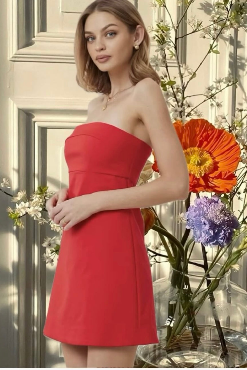 TUBE DRESS -Red & White