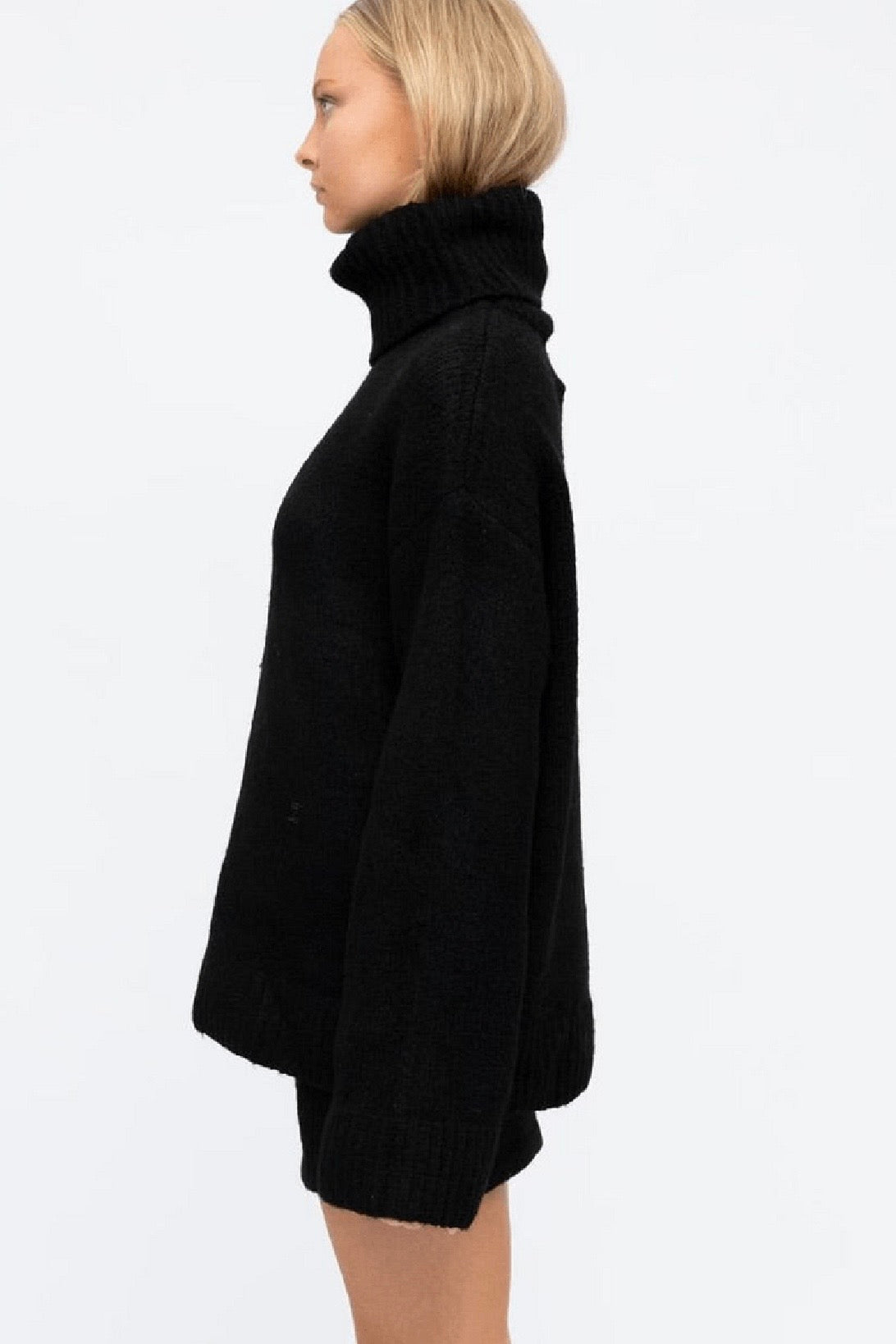 PATRICE ROLL NECK JUMPER